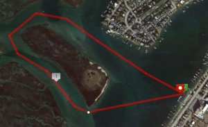 Loggerhead Loop